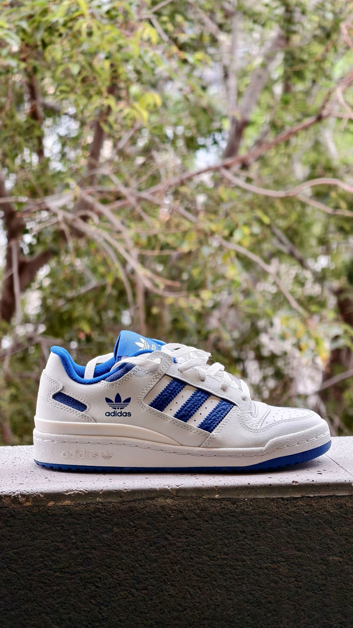Adidas Forum Low CL Nieuwe – photo 2